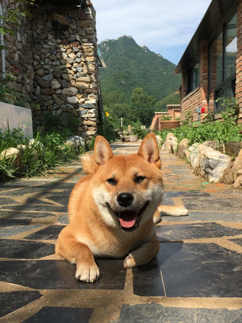 Meet The Great Beijing